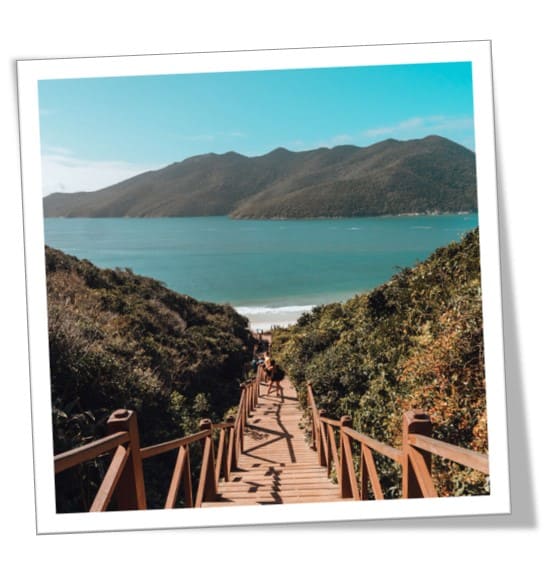 Descrição da Imagem